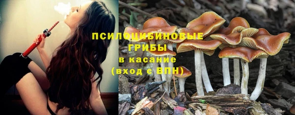 трава Армянск