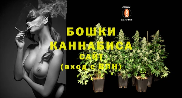 дурь Аркадак