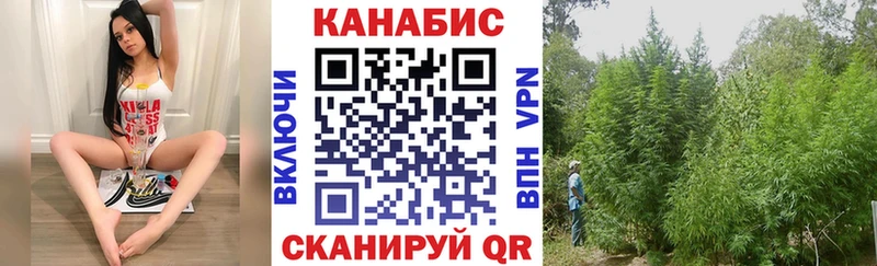 как найти закладки  площадка формула  Марихуана Amnesia  Болотное 